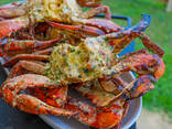 Blue Crabs - photo 3