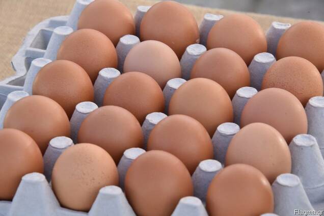 Brown Tables eggs