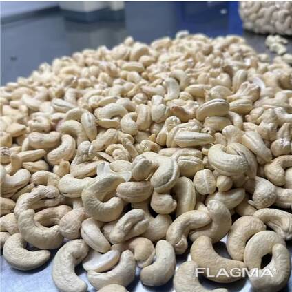 Cashew nut