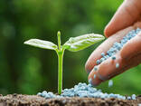 Cheap Urea Fertilizer best agricultural Fertilizer Urea 46 - фото 1