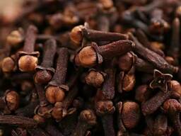 Cloves spices