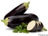 Eggplant - photo 1