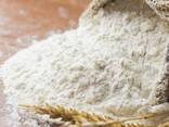 Factory supply Price Very Cheap Soya Flour/All Purpose Wheat Flour - фото 1