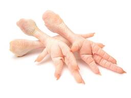 Fresh Frozen Chicken Feet