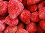 Frozen berries and fruits, berry-fruit mixes, and compote mixes. - фото 2