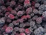 Frozen berries and fruits, berry-fruit mixes, and compote mixes. - фото 9