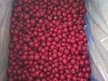 Frozen Raspberry, cherry. .. - фото 1