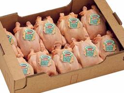 Frozen Processed Whole Chicken