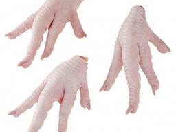 Halal Frozen Chicken Paws