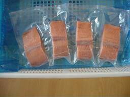 High Quality Salmon Fish / Frozen Salmon Fish Fillet / whole round salmon fish Head off