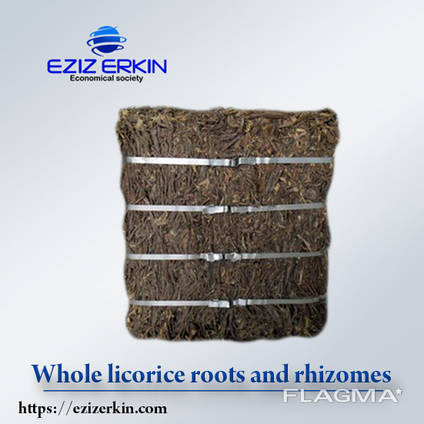 Whole licorice roots and rhizomes