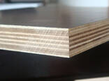 Laminated birch plywood - photo 3