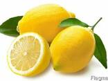 Lemons - photo 1