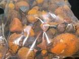 Natural Cattle/Ox Gallstones - фото 4
