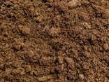 Peat - photo 1