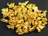 Physical Gold - фото 1