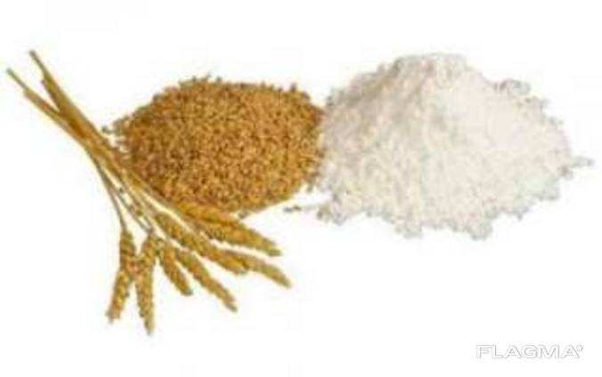 Предлагаем муку 4-х видов / We offer 4 types of flour