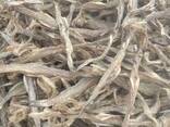 Premium Quality Dried Bombay Duck Fish / Dried Cod Fish Tosk Cod Fish
