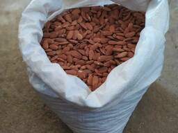 Raw and Sweet Almonds Nuts At Factory Price Almond Nuts