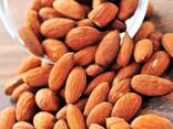 Raw and Sweet Almonds Nuts At Factory Price Almond Nuts