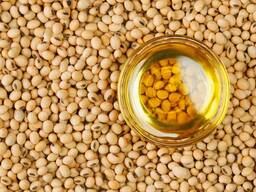 Soybean oil/Σογιέλαιο