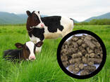 Vegetable straw pellets for animals alternative to straw bedding - фото 1