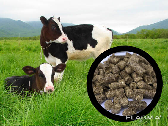 Vegetable straw pellets for animals alternative to straw bedding