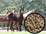 Vegetable straw pellets for animals alternative to straw bedding - фото 2