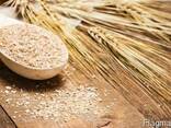Wheat bran - photo 1