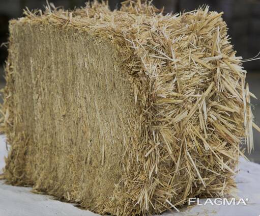 Wheat Straw