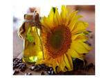 Wholesale Sunflower Oil Edible Sun Flower Seed High Quality Cooking Oil - фото 3