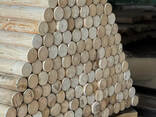 Wooden fence posts | fence pegs Fence posts Supports | Ultima