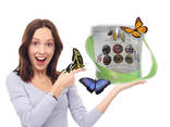 Живые бабочки - продажа готового бизнеса, франшиза. - фото 1